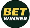 Betwinner Casino